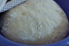 493908432_1222895466506824_7197864451366615785_n