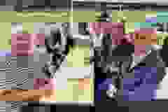 hatsofuves-17