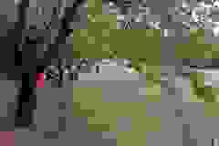 hatsofuves-20
