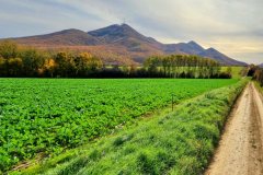 482090755_571336645925715_7227972379852242546_n