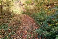 482235119_571336685925711_7705048650820119040_n