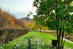 483067454_571336665925713_850788272990882820_n