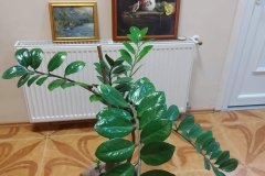 2-kiallitas-52
