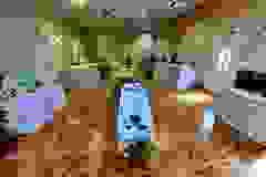 helyi-alkotok-26