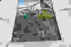 helyi-alkotok-30