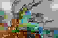 helyi-alkotok-9