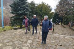 vizeses-41