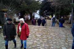 vizeses-5