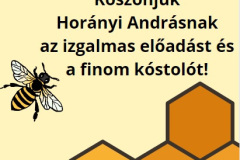 mezedesnap-1
