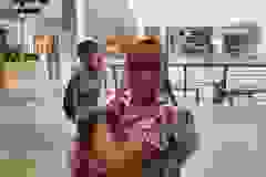 mozi-8
