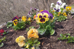 IMG_20220411_115458