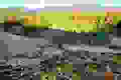 kektura-22