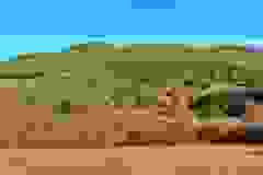 kektura-28