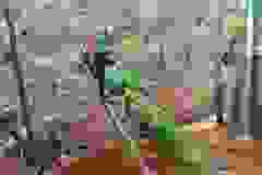 kektura-32
