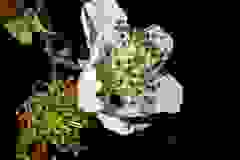 kektura-36