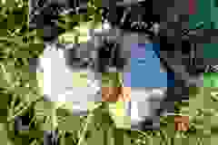kektura-40