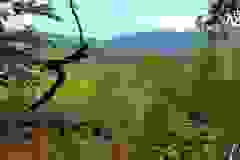 kektura-43