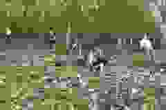 kektura-44