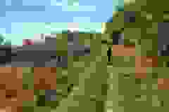 kektura-47