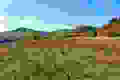 kektura-49