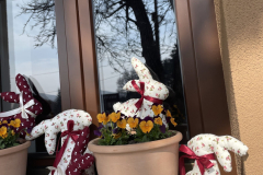 494173673_1223280129801691_4238859975048989539_n