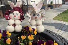 494194499_1223280136468357_9208078147598761051_n