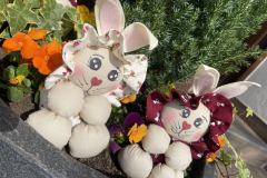 494204817_1223280256468345_2597753747567625955_n