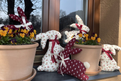 494461615_1223280249801679_3213620846700459121_n