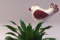 IMG_20230208_080633