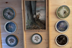 493966589_1222465653216472_3728738633377436651_n