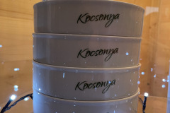 494182326_1222465693216468_8360815324364994752_n