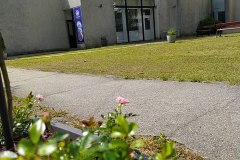 IMG_20230615_102431