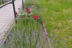 aa