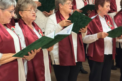 493516050_1223098299819874_3064459708874807159_n