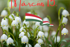 493733127_1223098466486524_3694160134192774067_n