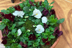 493872979_1223098346486536_1172768069552812299_n