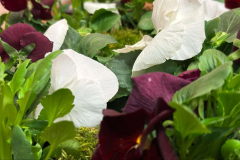 494007526_1223098509819853_2453094576137050475_n