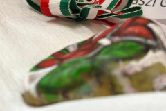 494343333_1223098523153185_7157734776964404985_n